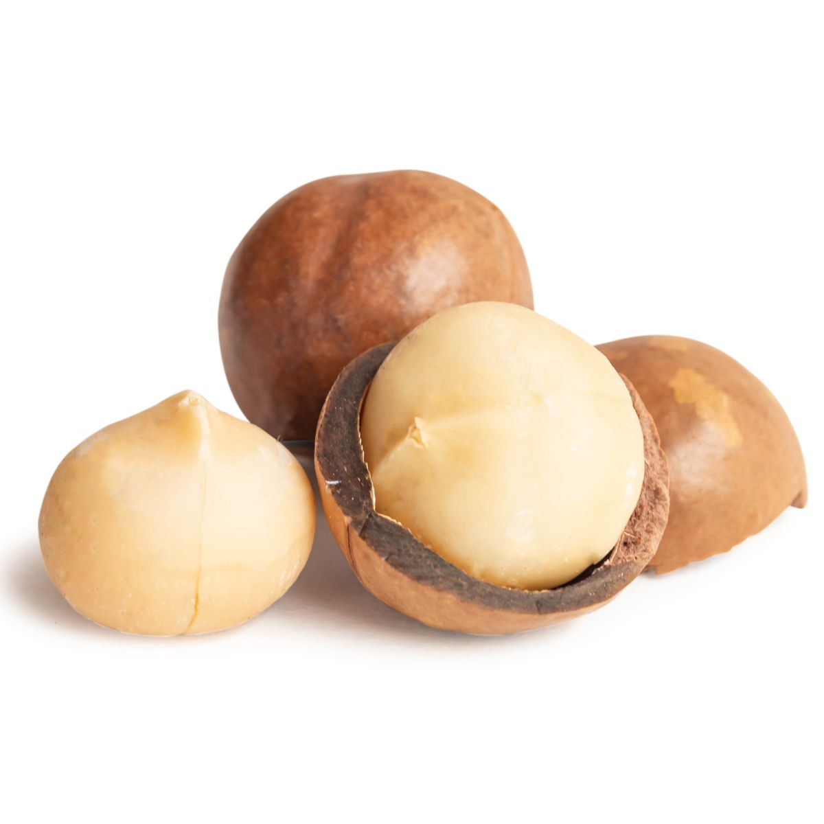 Macadamia nuts
